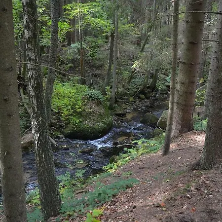 Lipno U Vody A Cyklostezky * リプノ・ナト・ヴルタヴォウ